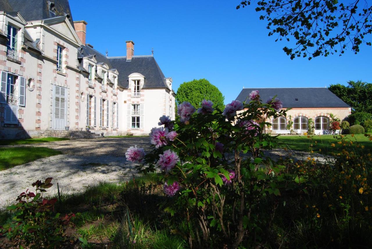 Chateau La Touanne Loire Valley Baccon Exterior photo