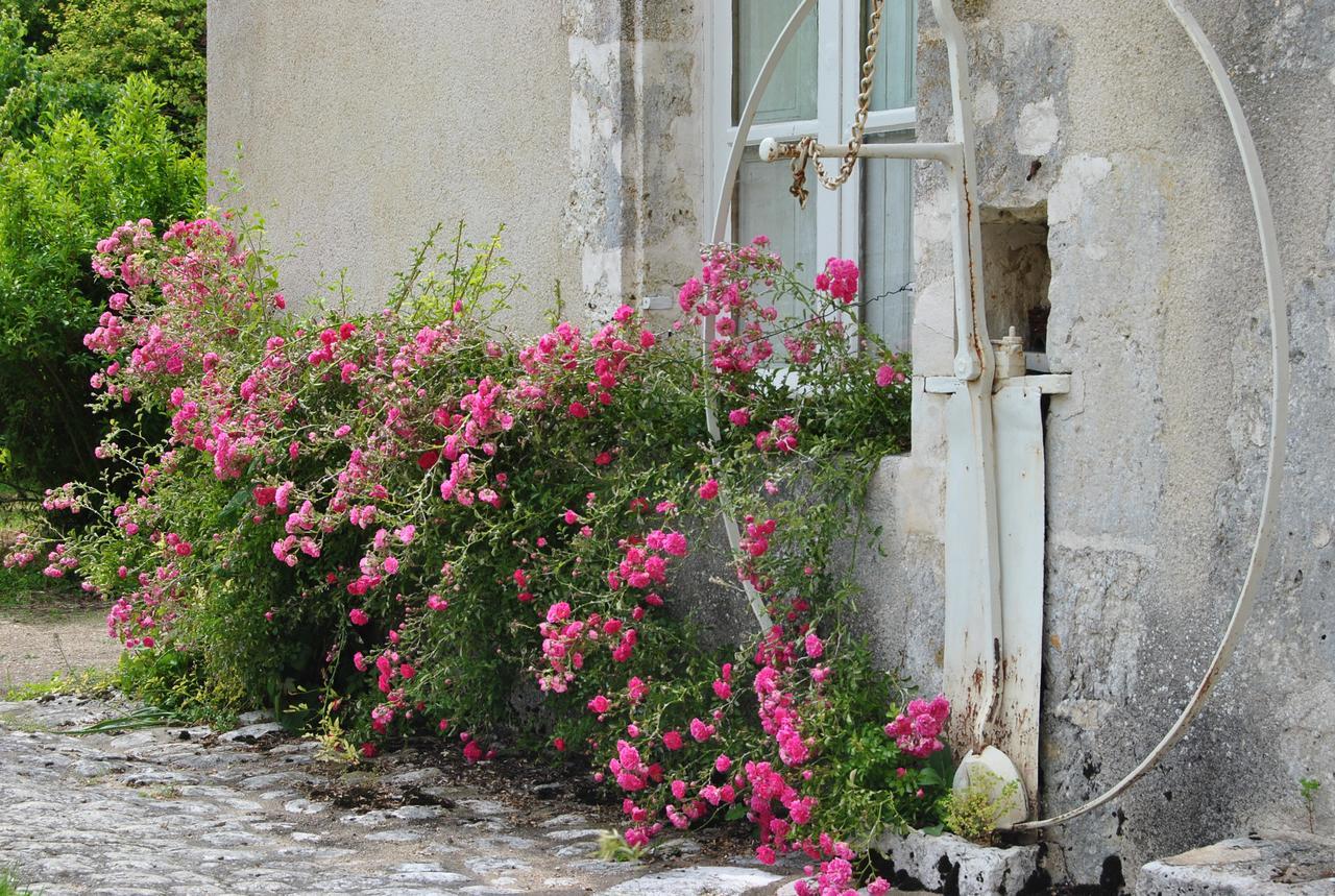 Chateau La Touanne Loire Valley Baccon Exterior photo