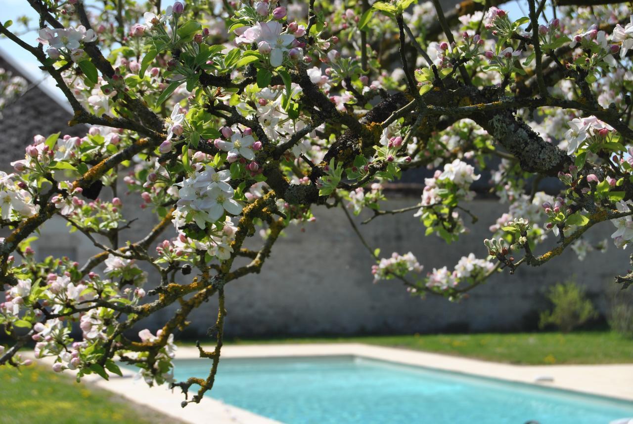 Chateau La Touanne Loire Valley Baccon Exterior photo